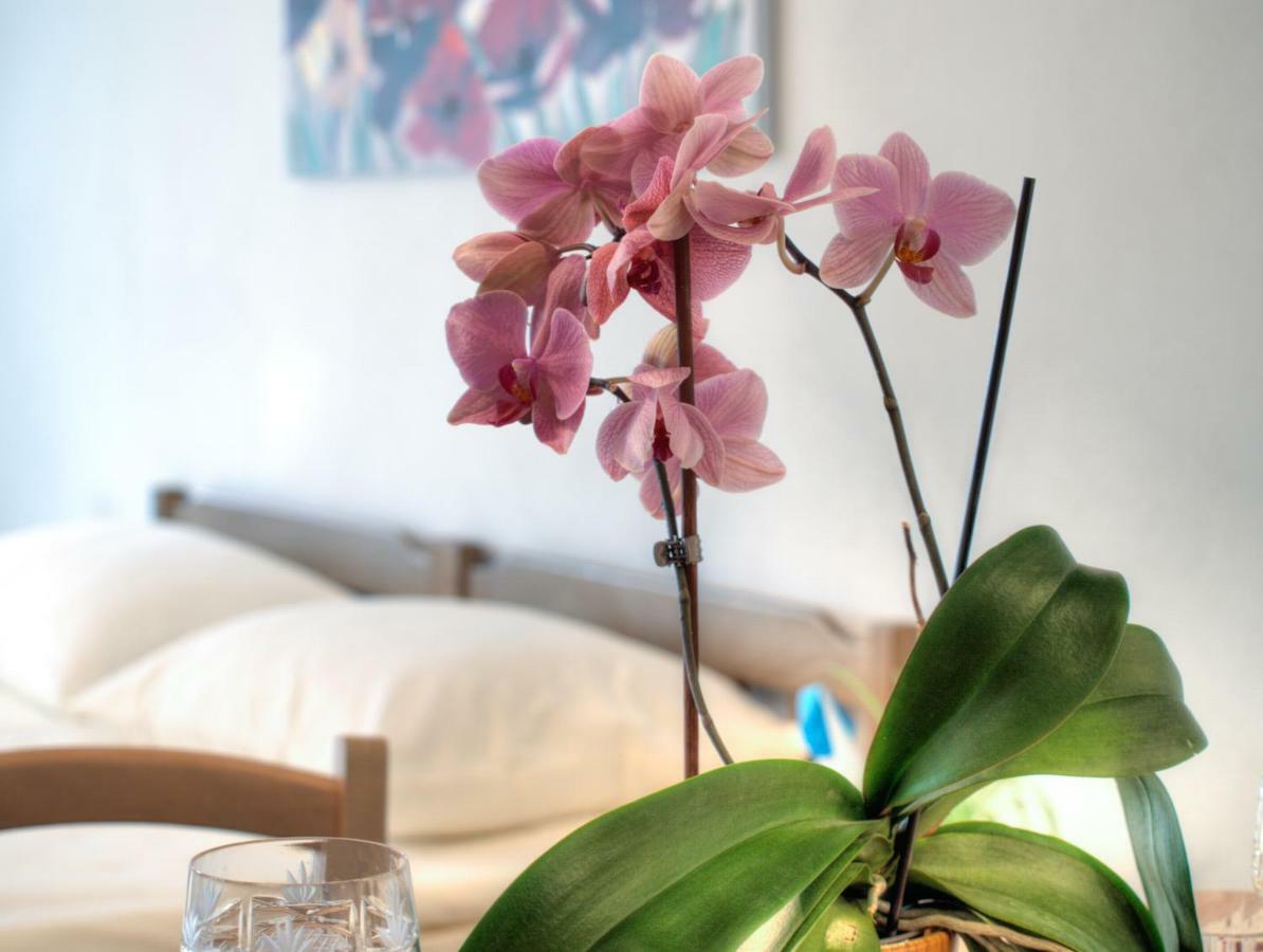 Apartmani Matko Zara Esterno foto